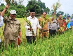 Peneliti UGM : Kawasan Pertanian Terintegrasi di Kukar Mampu Memasok Pangan IKN dan Kaltim