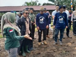 Pemkab Kutim Dukung Peternak Sapi, Wujudkan Target Swasembada Daging Sapi di Kutim Terpenuhi