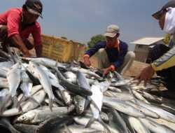 Modal Kecamatan Anggana Menyambut IKN