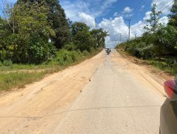 Jalan Utama di Rantau Pulung Terbengkalai Selama 10 Tahun, Kondisinya Semakin Memprihatinkan
