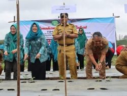 Peringati HUT HKG PKK Ke-52, TP PKK Kukar Tanam Ratusan Bibit Cabai