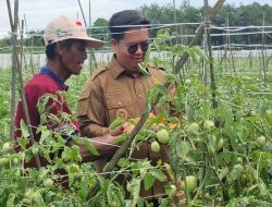 Wujudkan Lumbung Pangan IKN, Pemkab Kukar Gelontorkan Anggaran 700 M