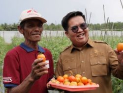 Wabub Kukar Kunjungi Kelompok Tani Rawa Lambur, Rendi Solihin : Saya Bangga Hasil Kerja Keras Petani Kita