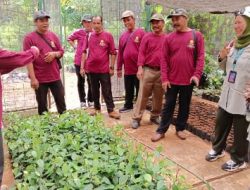 Disbun Kukar Kirim 10 Staf Ikuti Pelatihan Budidaya Lada di Bogor