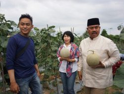 Nikmati Hasil Panen Melon, Edi Damansyah Apresiasi Peran Petani Milenial