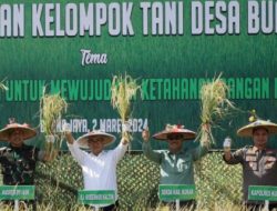 Pj Gubernur Kaltim Akmal Malik Apresiasi Panen Raya Padi Sawah di Kukar