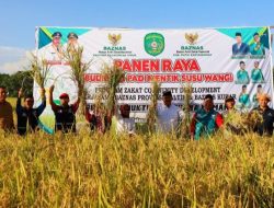Panen Raya Padi Mentik Susu Wangi Di Desa Sidomukti, Bupati Edi Damansyah Apresiasi Program Community Development Baznas