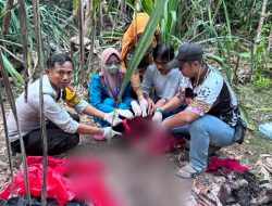 Niat Cari Umpan Mancing, Warga Desa Selangkau Malah Temukan Kerangka Manusia