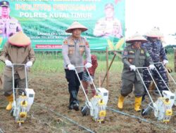Inovatif! Polres Kutim Bersama PT KPC Ubah Lahan Bekas Tambang Jadi Lumbung Jagung