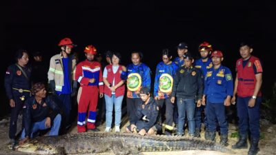 LKK Kutim dan Tim Gabungan Berhasil Tangkap Buaya 4 Meter Penerkam Bocah di Dermaga Kenyamukan