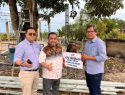 Idul Adha 1447 H, KPC Salurkan 65 Ekor Sapi Kurban untuk Masyarakat Kaltim