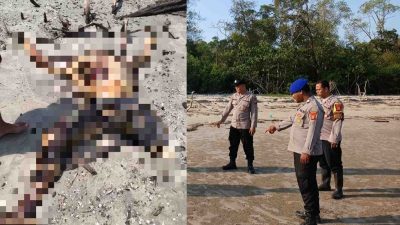 Pol Airud Polres Kutim Kawal Penanganan Jenazah Nelayan Bontang yang Ditemukan di Pantai Teluk Prancis