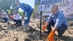 1.000 Bibit Mangrove Ditanam di Pantai Teluk Lingga Kutim, KPC Dukung Pelestarian Pesisir