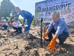 1.000 Bibit Mangrove Ditanam di Pantai Teluk Lingga Kutim, KPC Dukung Pelestarian Pesisir